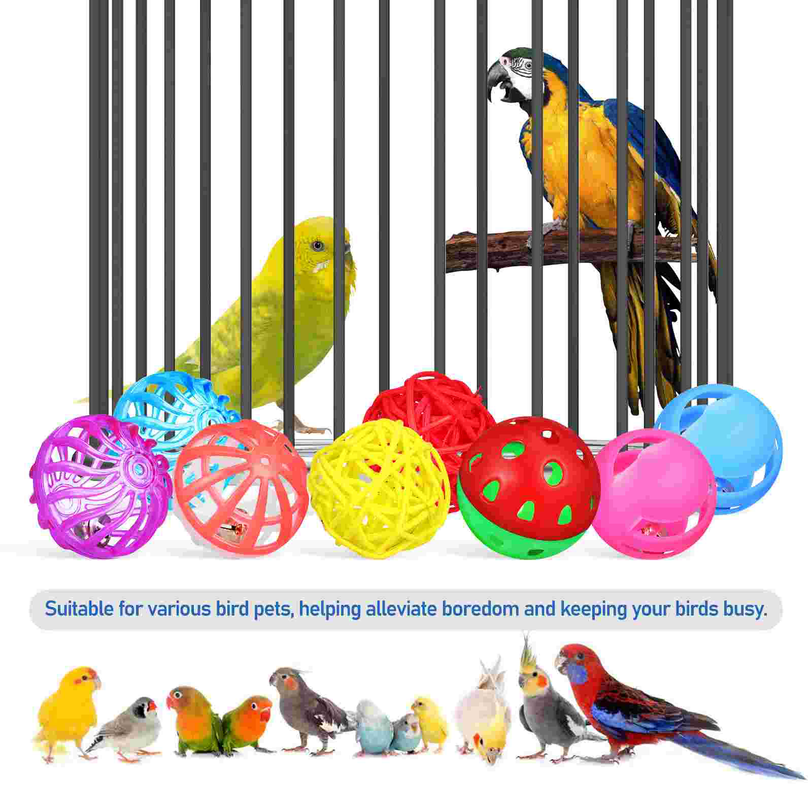 12 Pcs Pet Parrot Treats Bird Toy Ball Perches for Cages Training Toys Birds Plastic