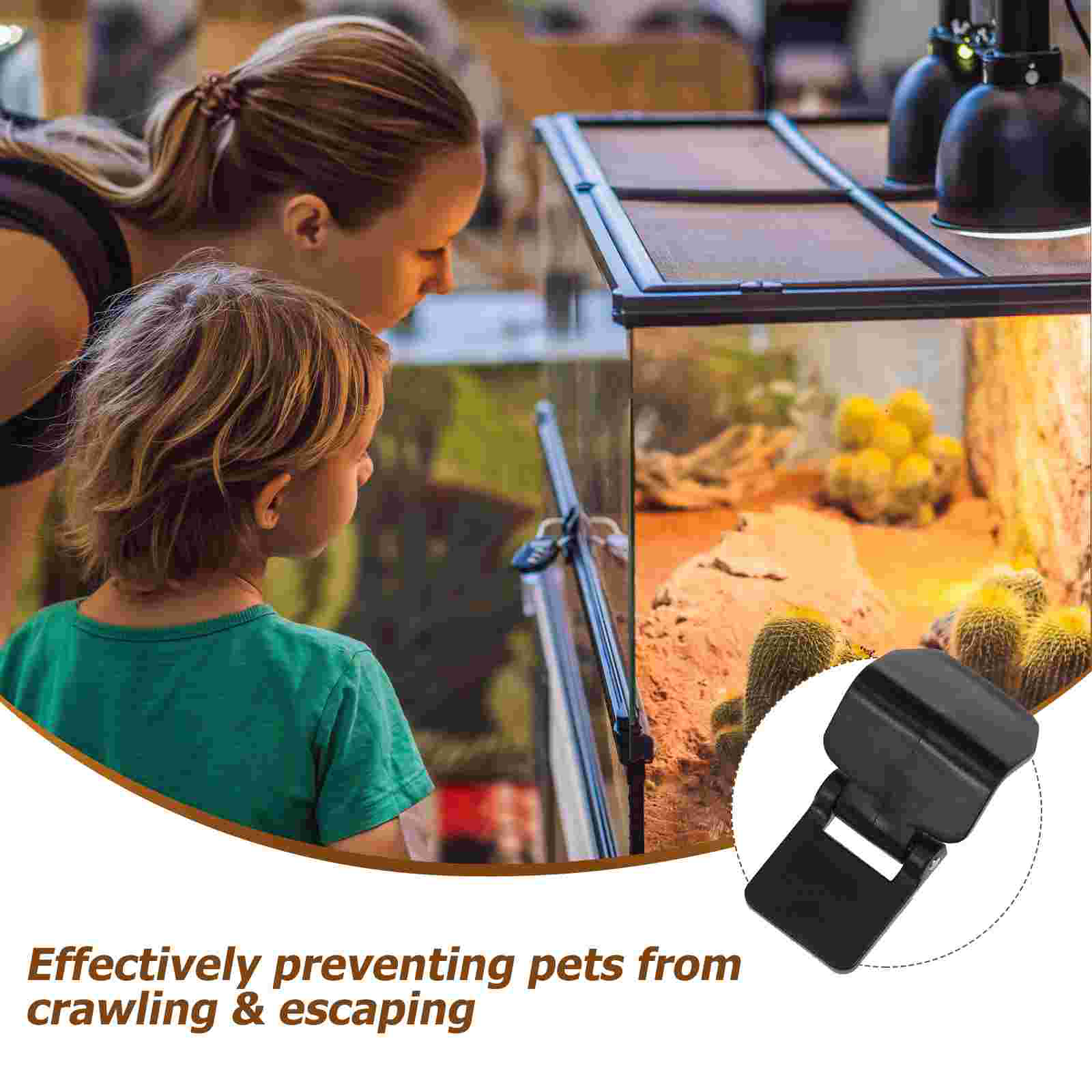 6 Pcs Cylinder Lock Turtle Glass Tank Buckle Pet Latch Reptile Feeding Terrarium Parts Sea