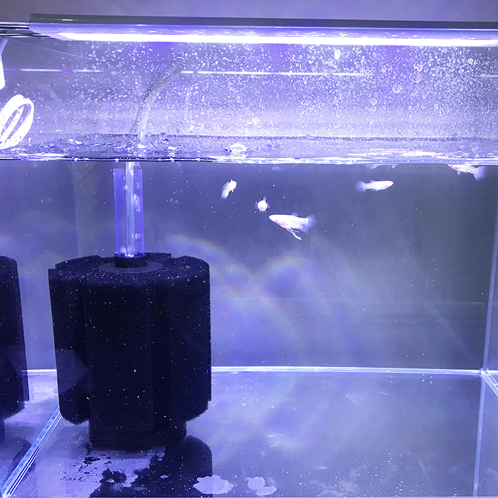 3 Sizes Fish Tank Air Pump Skimmer Aquarium Fish Filter Accessories Practical Aquarium Biochemical Sponge Filter FA011