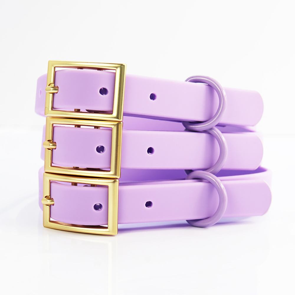 Waterproof Colorful Dog Collar Leash Set,Heavy Duty Adjustable Buckle PVC Dog Collar & Safety Auto-Lock Carabiner Leash for Dogs