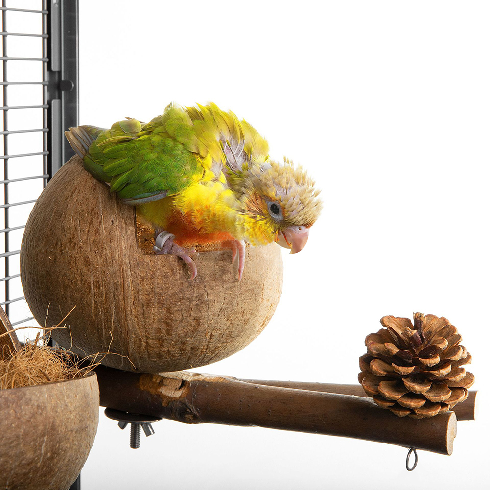 Natural Coconut Shell Bird Nest Coconut Bird House With Perch Bell For Parrot Parakeet Lovebird Finch Canary Bird Cage Accessory
