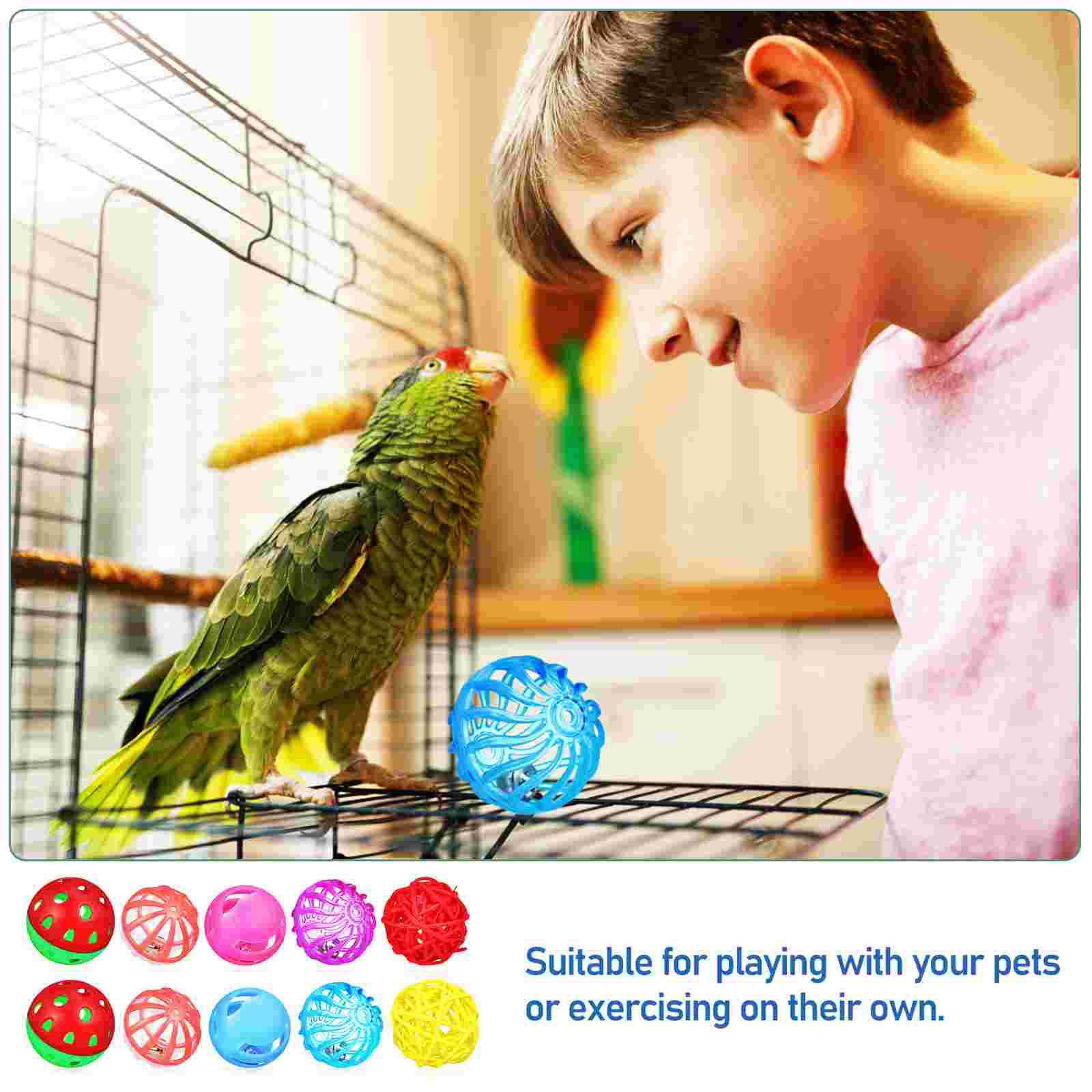 12 Pcs Pet Parrot Treats Bird Toy Ball Perches for Cages Training Toys Birds Plastic