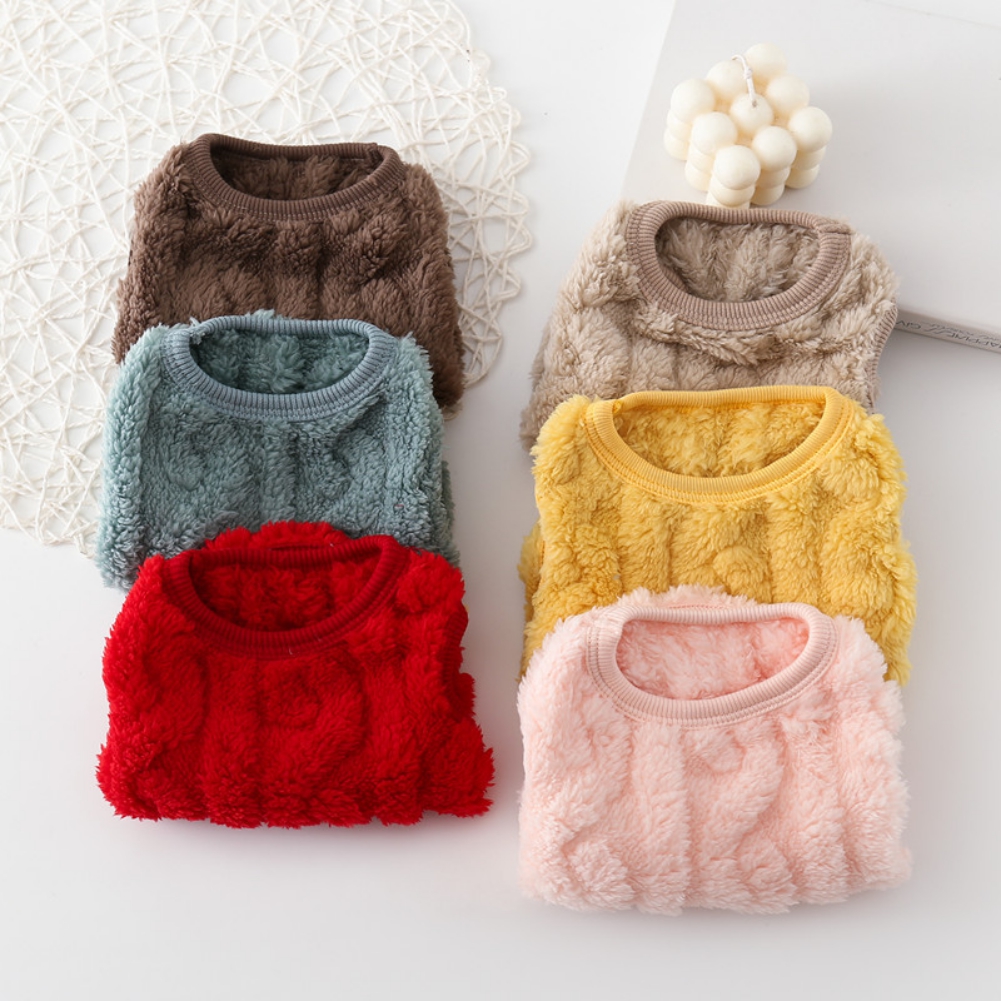 Pet Fleece Pullover Dog Clothes Cute Double-sided Puppy Kitten Coats Sweater for Small Medium Dogs Cats Warm Winter Pet Outfits