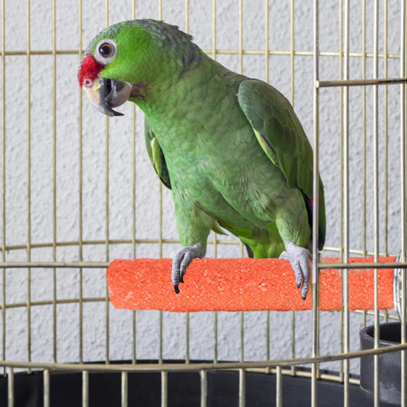 Bird Standing Stick Parrot Frosted Perch Stand For Cage Claw Sharpening Cage Perch Toy For Cockatiels Budgies Medium Parrots
