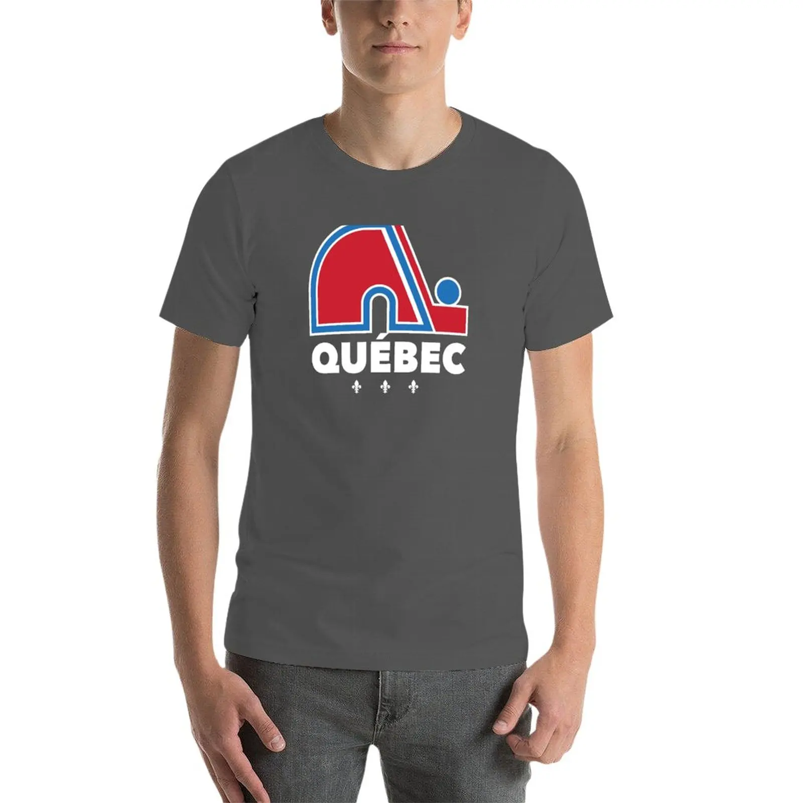 Nordiques Quebec Hockey Team Avalanche Vintage with fleurs de lys HD T-Shirt Aesthetic clothing for a boy mens clothes