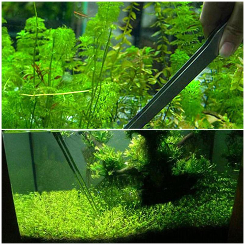 1~8PCS 38/48cm Aquarium Live Straight Curve Plant Tweezers Tongs Shrimp Reef Tank Crooked Tweezer