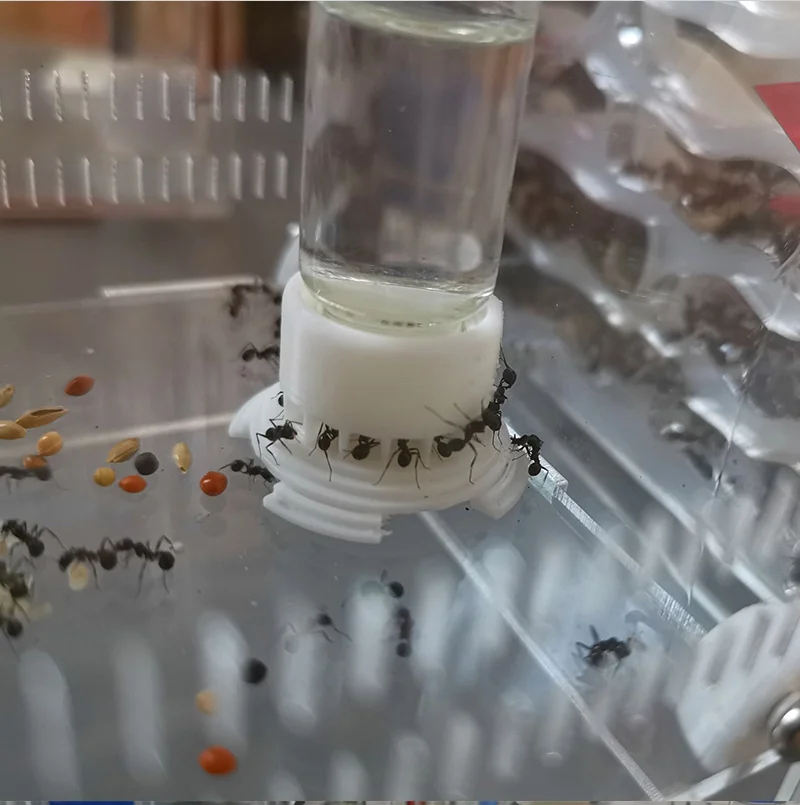 3D Ant Farm Drinker Feeding Area Water Bowl for Ant Nest Anthill Large Capacity Water Feeder Ant House Drinking Bottle Workshop