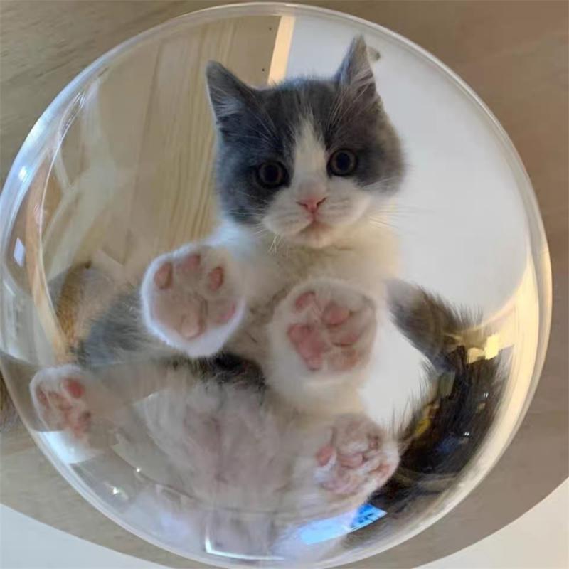 30CM Cat Porthole Window Round Transparent for Fence Pet Peek Look Out Durable Dome Acrylic Sheet Glass Window Supplies