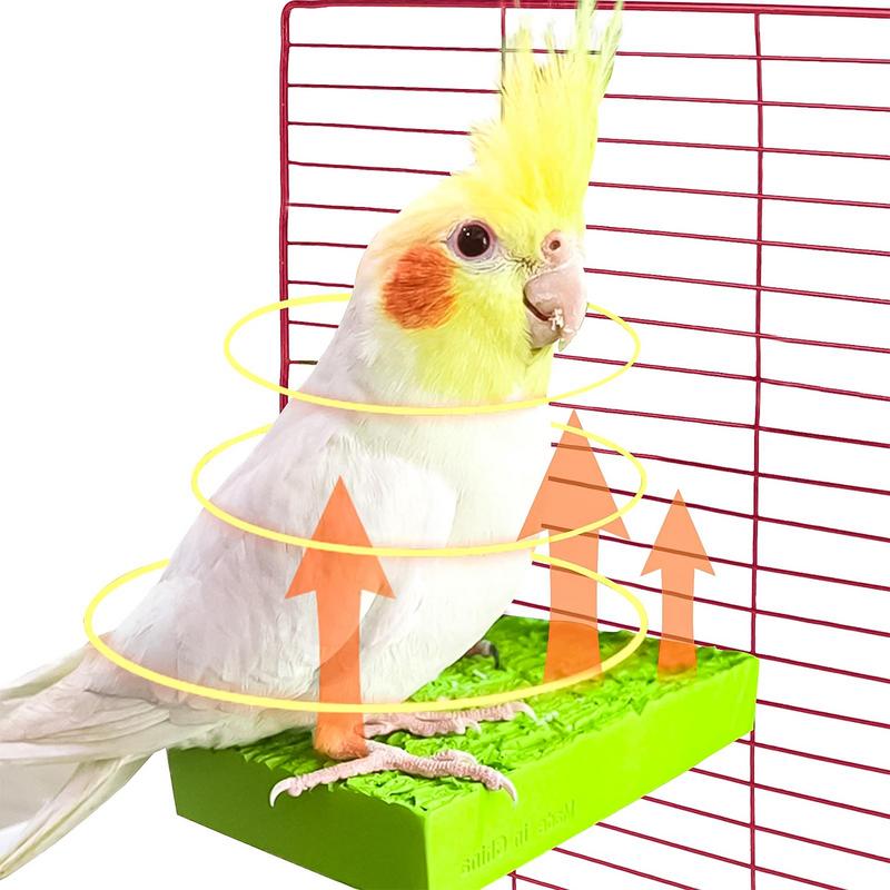 Heated Bird Perch 5W Thermostatic Flat Bird Heater for Cage Safe Bird Perch Stand Warmer for Birds Parrots Hamsters