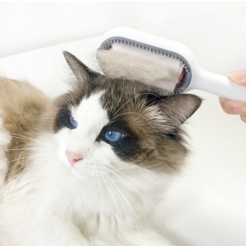 Cat Pet Grooming Brush with Disposable Wipes Sided Hair Removal Brushes Floating Hair Removal Comb for Cats Dog Pet Accessories