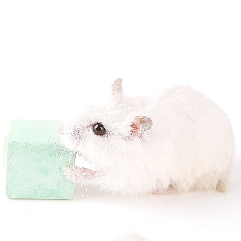 Hamster Teeth Grinding Stone Mineral Calcium Rabbit Rat Squirrel Toys Cube Hang Small Pet Minerals Molar Stone Chew Toys