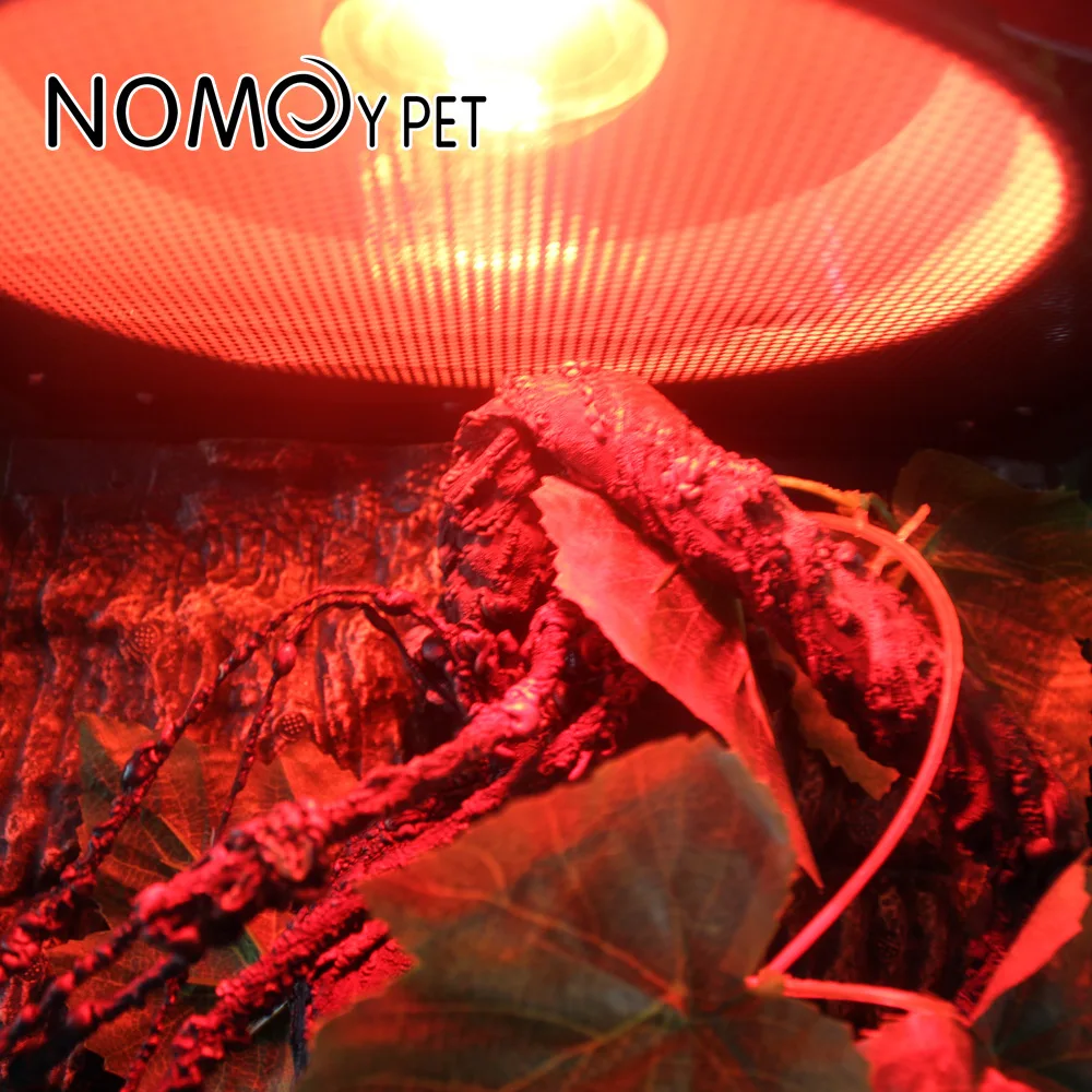 Reptile Heat Lamp Bulb Infrared Basking Spot Lamp 110V/220V Amphibian Snake Lamp Heat Reptile Bulbs 25W 50W 100W luz terrario