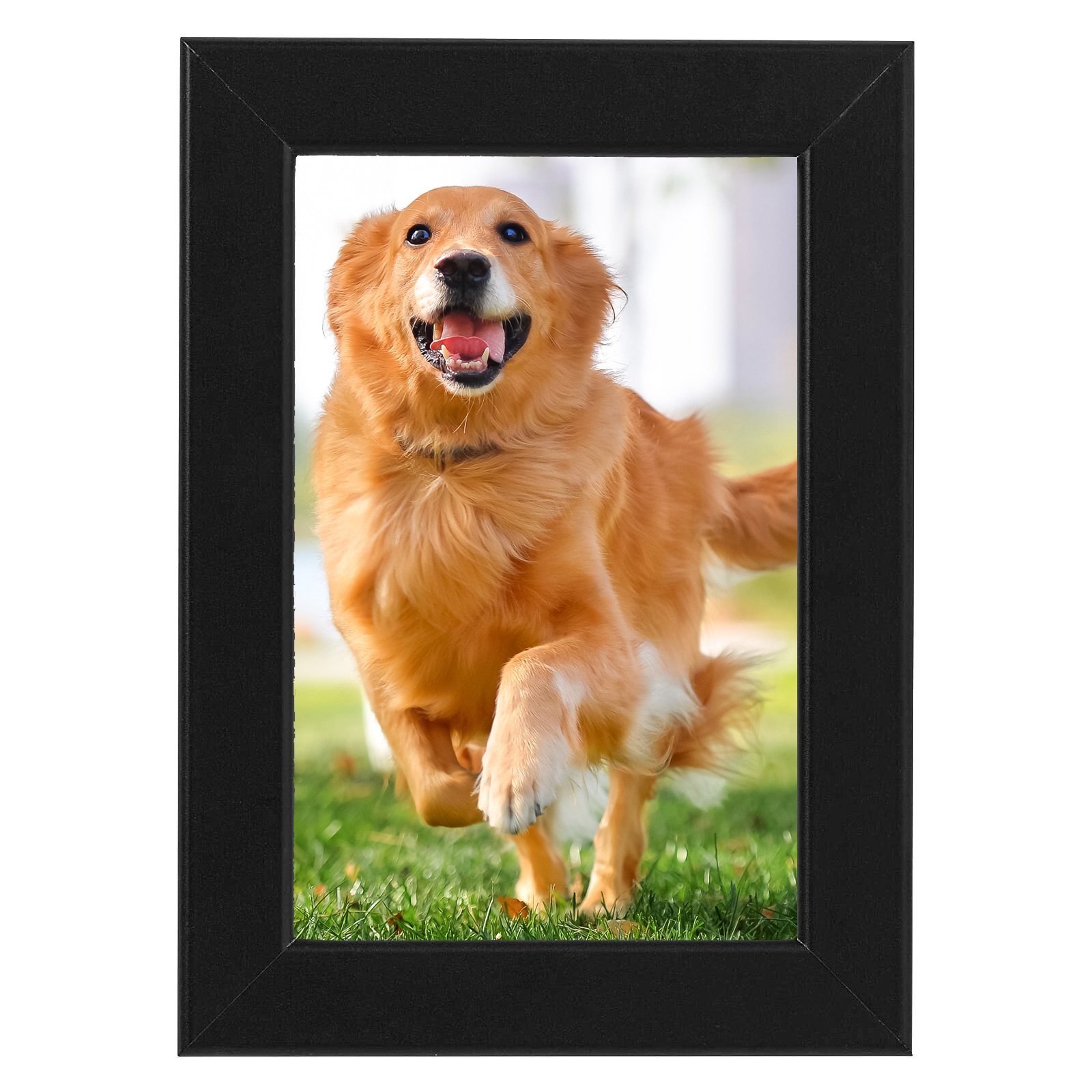 Photo Display Stand Table Black Picture Poster Frame Office Desktop Ornament 4x6 Inch H260306