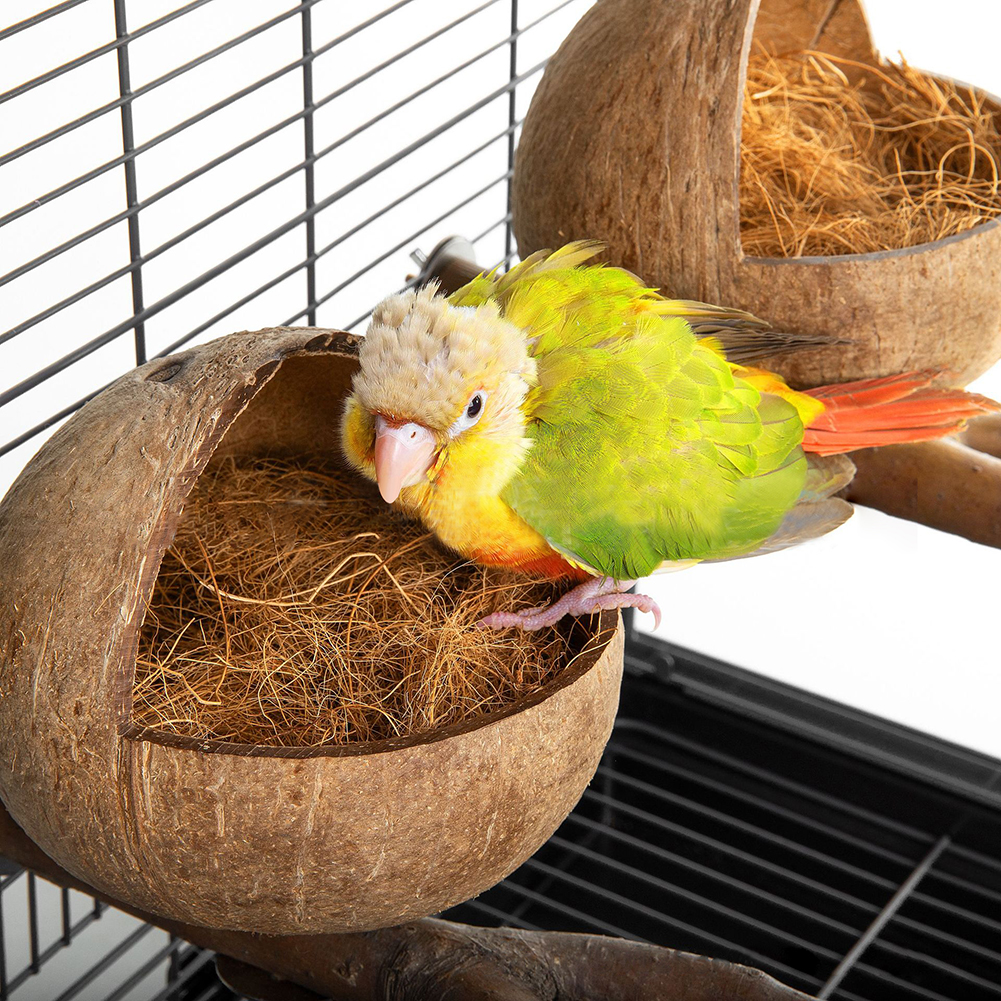 Natural Coconut Shell Bird Nest Coconut Bird House With Perch Bell For Parrot Parakeet Lovebird Finch Canary Bird Cage Accessory