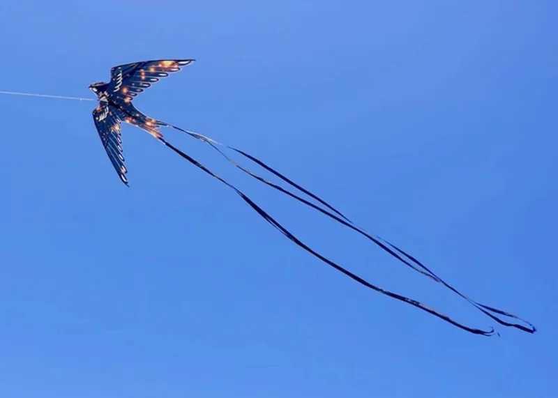 Kite Accessories long tailed swallow kite papalotes cometas grandes kite for adults kites professional big kitesurf equipment wind