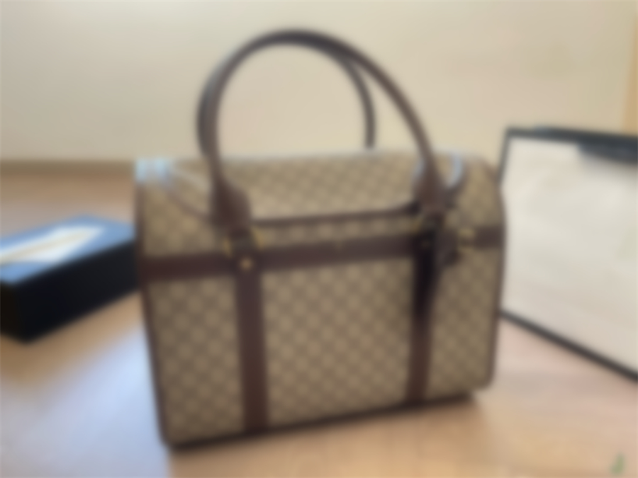 Designer Pet Carrier Dog Bag Cat Carrier Case Handbags Classic Letter G Net Travel Outdoor Web Beige Ebony Canvas Mesh Window Luxury Double Handles Tote