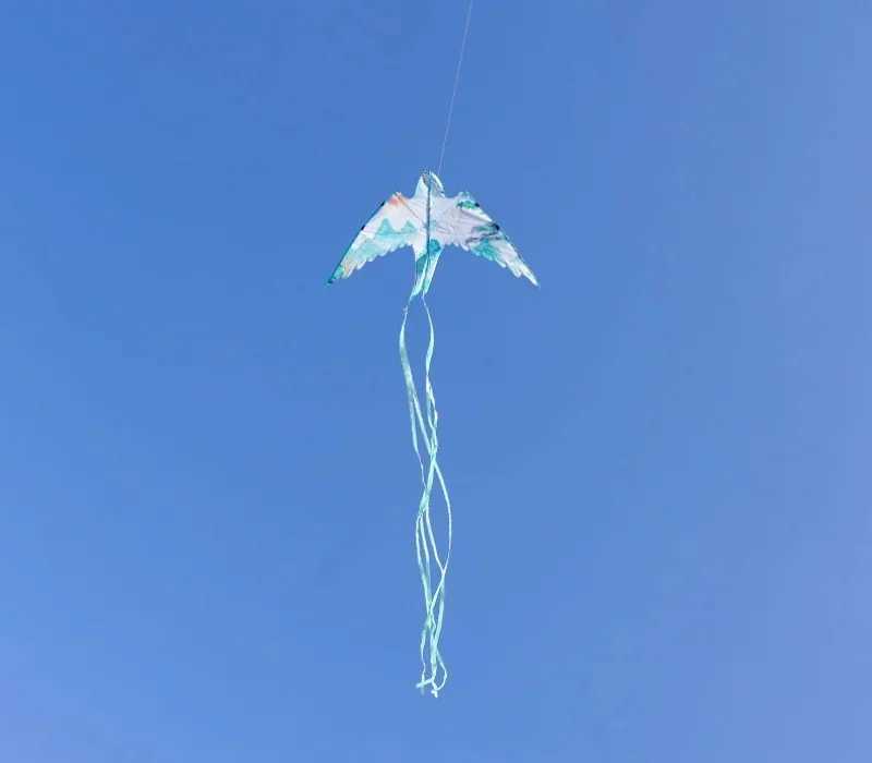 Kite Accessories long tailed swallow kite papalotes cometas grandes kite for adults kites professional big kitesurf equipment wind