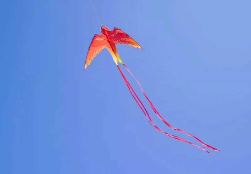 Kite Accessories long tailed swallow kite papalotes cometas grandes kite for adults kites professional big kitesurf equipment wind