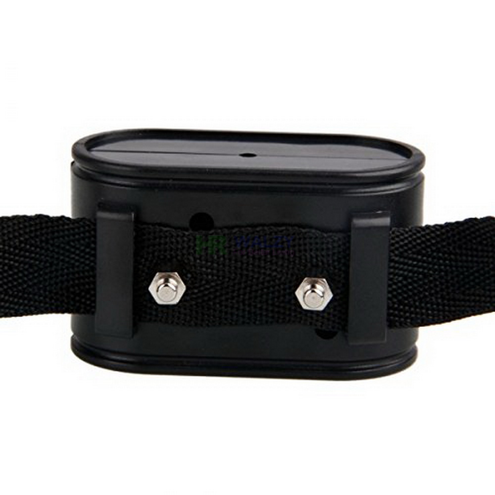 Dog Collar Pet Containment System Electric Shock Boundary Control Fence Training 5nf 143