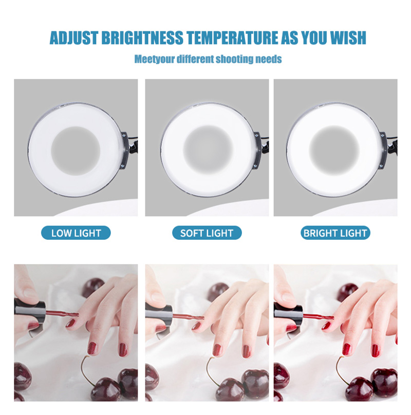 3 in 1 Hot And Cold 2 Spray-Heads Facial Steamer With 8X Magnifying Lamp Ring Light Vapor Ozone Vaporizer Spa Tools For Salon