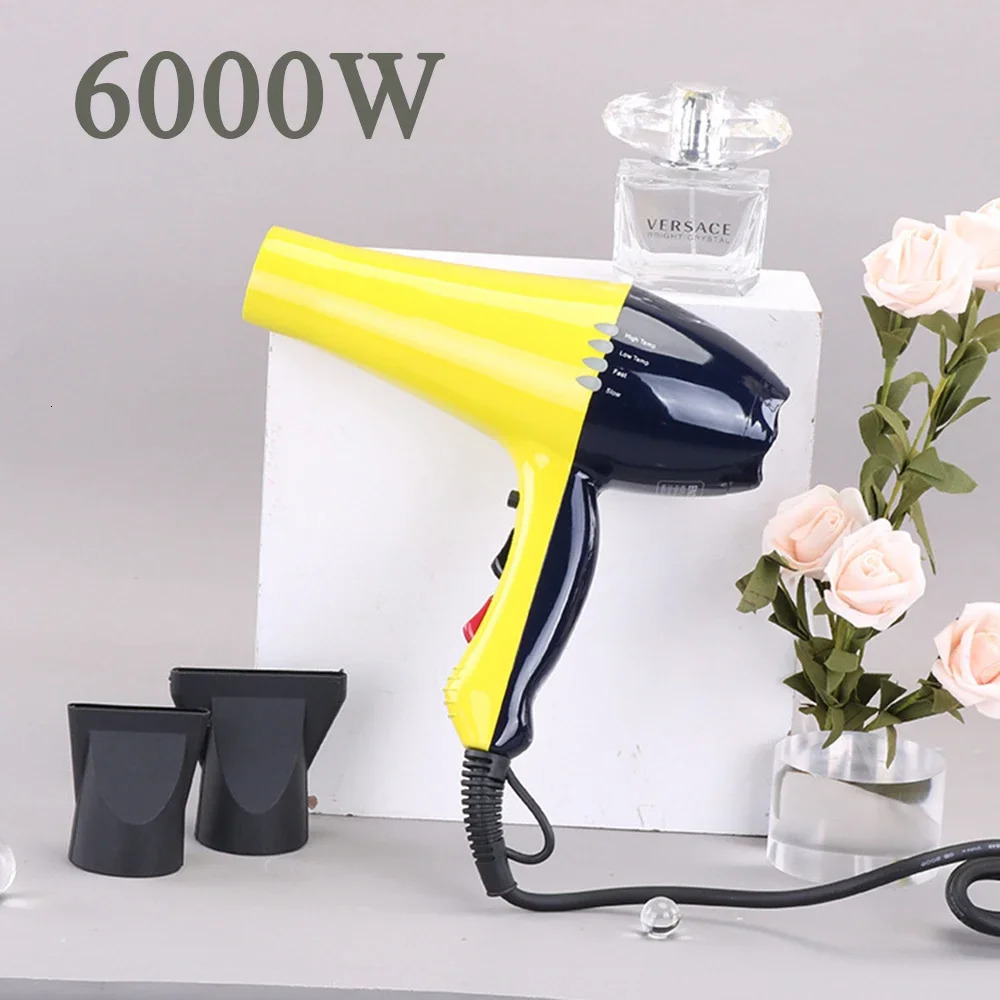 Professional 6000W Hair Dryer Anion Blowdryer for Salon High Speed Strong Wind 4 Gear Low Noise Lightweight Blower with 2 Nozzle 240511
