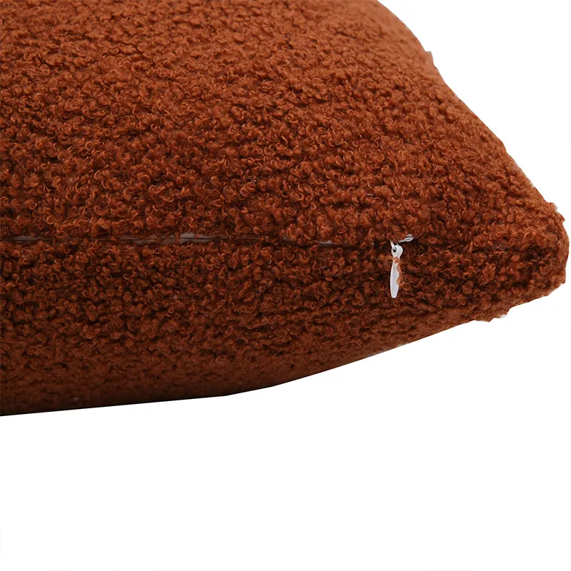 Polyester Teddy Boucle Throw Pillows Throw Pillow Case 45*45 Decorative 2025 Pillows For Sofa For new Living Room Decorative Cojines