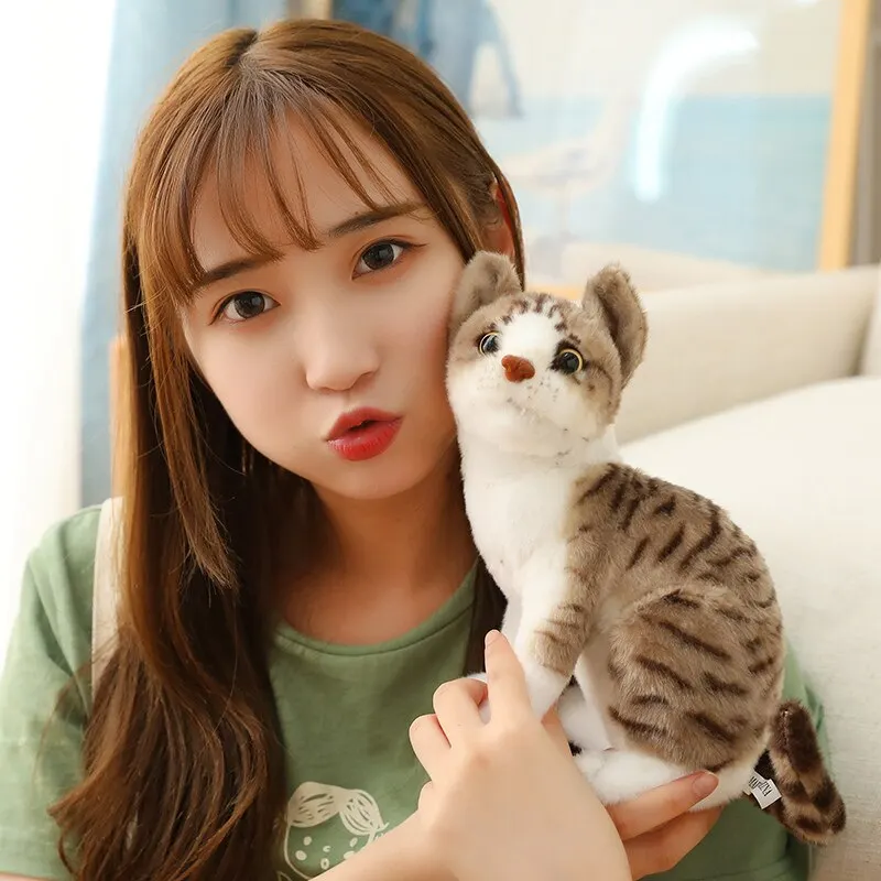 Stuffed Siame Cats Plush Toy new 20/25cm Simulation 2025 American Shorthair Cute Cat Pet Toys Lifelike Home Decor Birthday Gift
