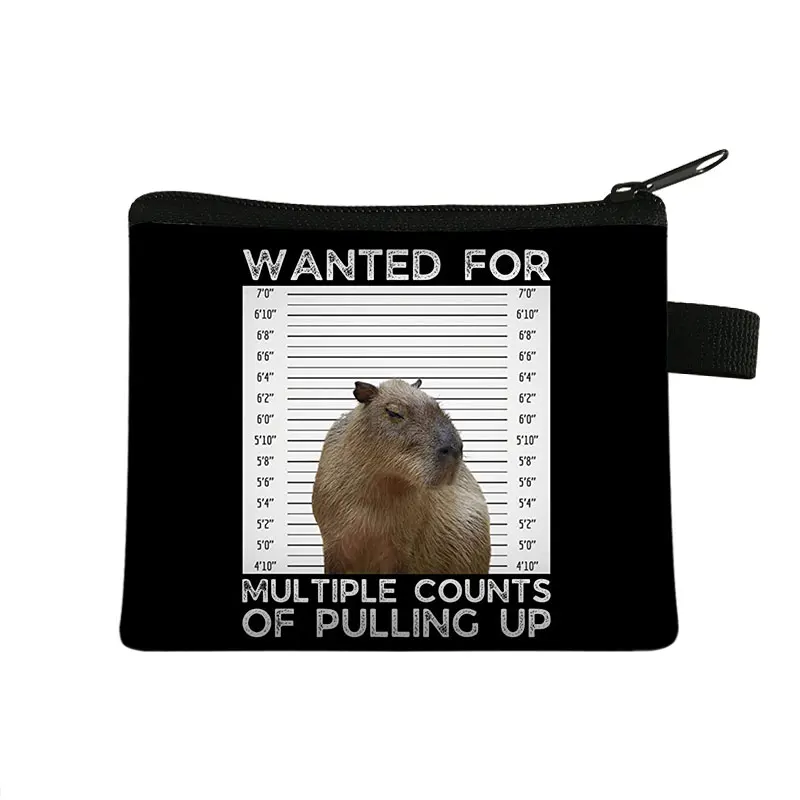 Animal Capybara Printing Coin Purse Women new Wallets Credit Card 2025 Key Earphone Holder Credit Card Bag Holder Casual Money Bags Gift