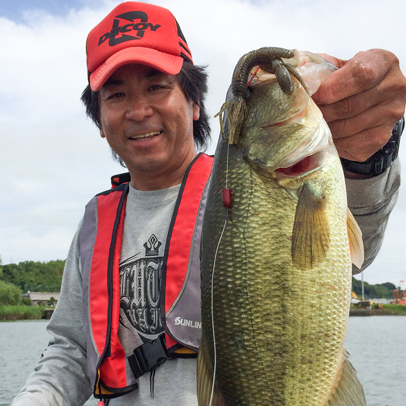 DECOY Japan Hook Wide Gape Offset Hooks High Power Fishing 2025 Hooks Texas Carolina Downshot Fishing Bass Hooks new Fishing Accessories