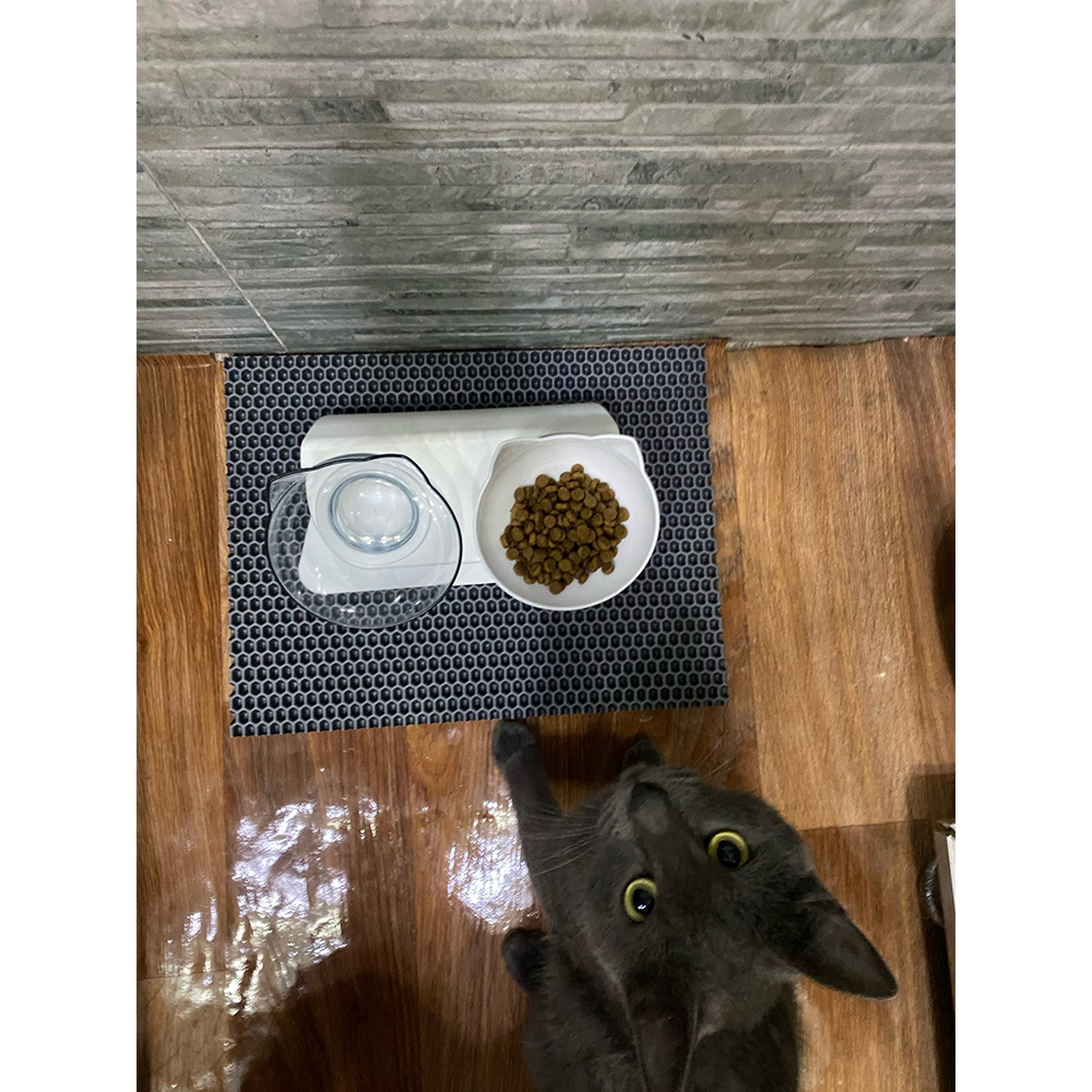 Durable Double Bowls Pet Food Water Feeder With Raised Stand Protection Cervical Non-slip Cat Bowl Dog Bowl Cat Dogs Feeder