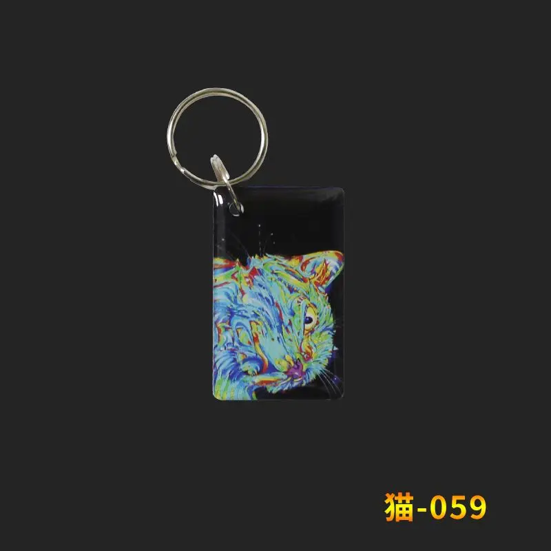1pcs Rewritable 125KHz RFID Tag EM4305 T5577 RFID Writable Epoxy Hang Proximity RFID Copier Copy RFID Copier Copy 125KHZ Card