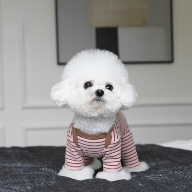 Pet Dog Clothes Winter Warm Four Legged Bodysuit Home Four Legged Pants Pet Clothing Cat Dog Clothing Teddy Puppy Clothing