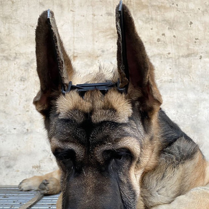 1Pcs Dog Ear Stand Corrector Ear Care Tool Ear Stand Up Tool For Doberman Pinscher Dog Samoyed Great Dane