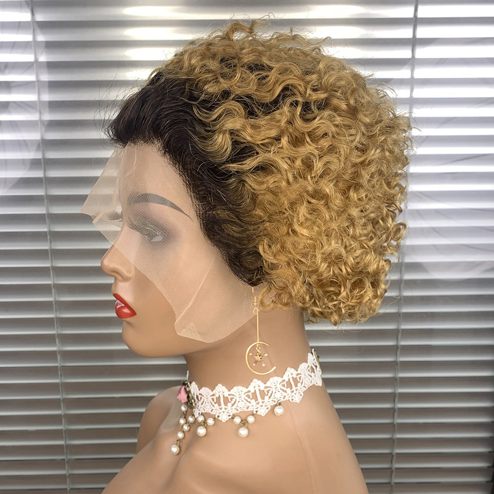 6 inch Wholesale of Real Human Hair Wigs 13x1 Lace Wig Pixie Curly Wig Short Curly Hair Gradient Colors With Multiple Colors Wig
