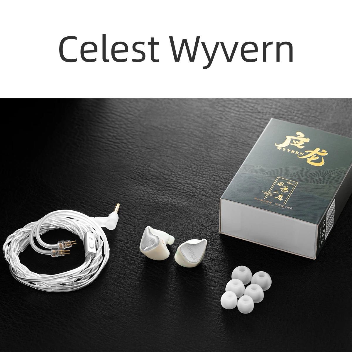 Kinera Celest Wyvern Microphone HIFI Audiophile Earphone 10mm DD Driver Game Studio Livestreaming Earbud IEM 0.78mm 2Pin Cable
