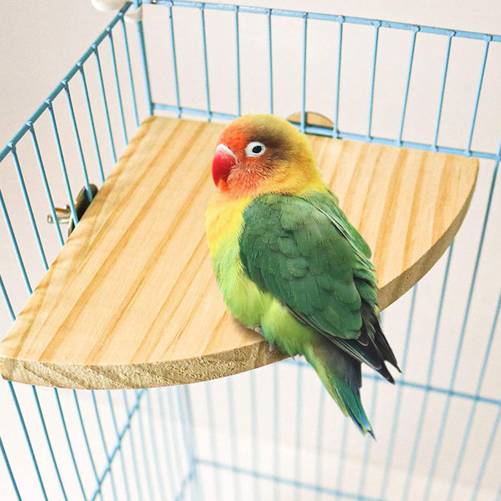 Parrot Bird Wood Perch Stand Platform Rectangle Fan-shaped Shelf Stand Board For Budgie Parakeet Cockatiel Hamster Gerbil Rat