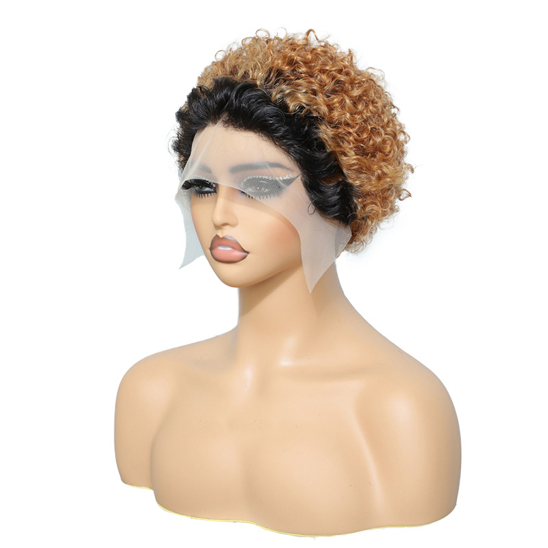 6 inch Wholesale of Real Human Hair Wigs 13x1 Lace Wig Pixie Curly Wig Short Curly Hair Gradient Colors With Multiple Colors Wig