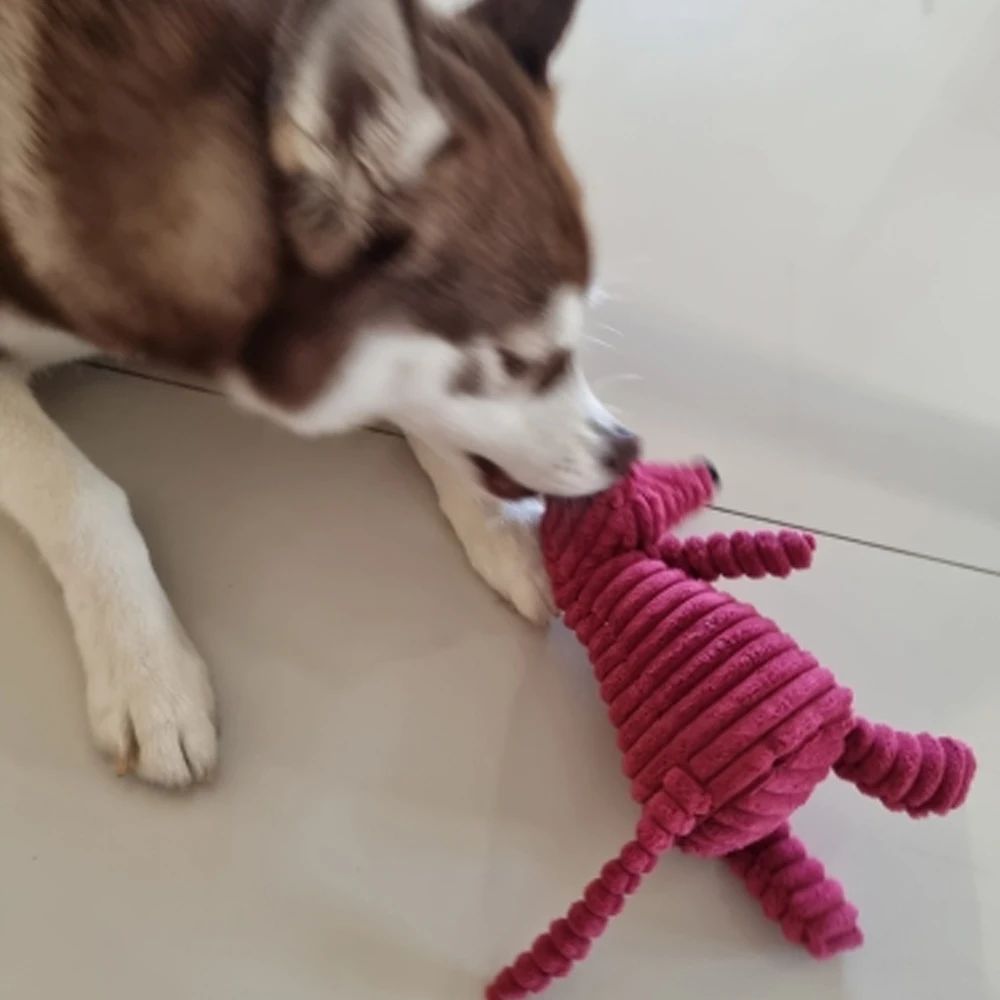 Pet Toys Dogs Law Fighting Molar Toy Cat 2025 Vent new Training Corduroy Monkey Pet Dog Vocal Toys Plush Toy