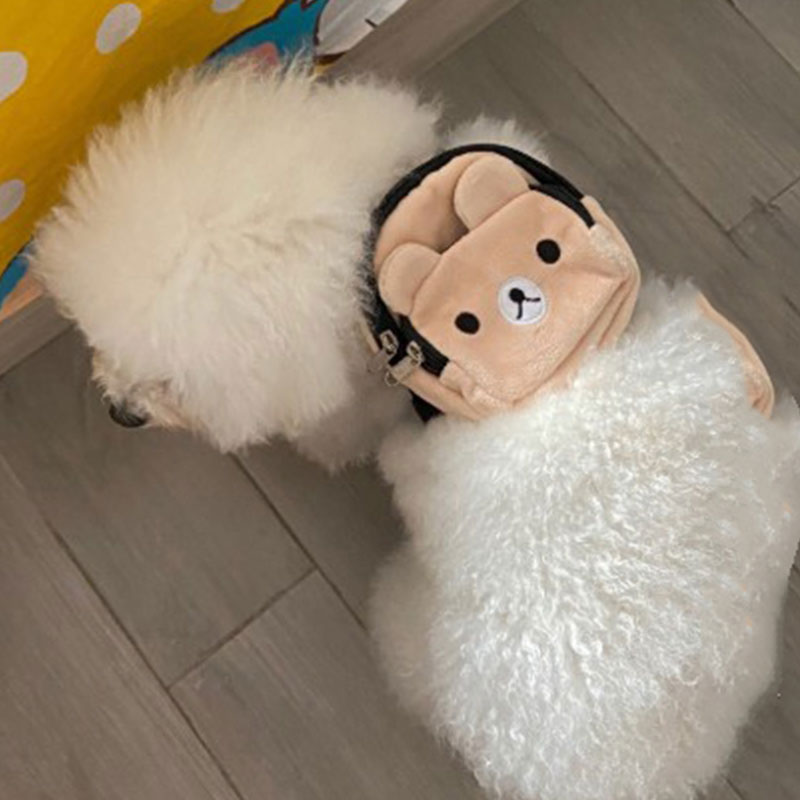 Large-capacity Dog Backpack For Small Medium Dogs Bag Cute Chihuahua Puppy School Bag Pet Snack Bag Perros Dog Accessories Chien