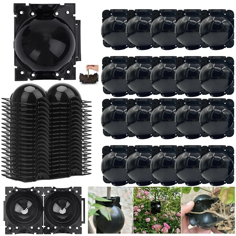 Reusable Plant Rooting Equipment Kit High new 2025 Pressure Breeding Ball Box S Breeding Equipment