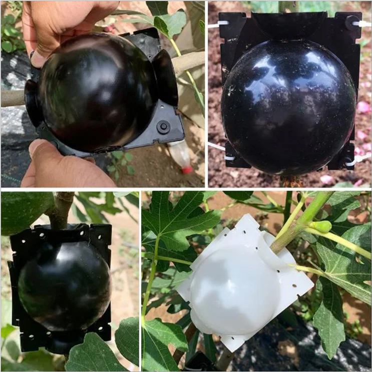 Reusable Plant Rooting Equipment Kit High new 2025 Pressure Breeding Ball Box S Breeding Equipment