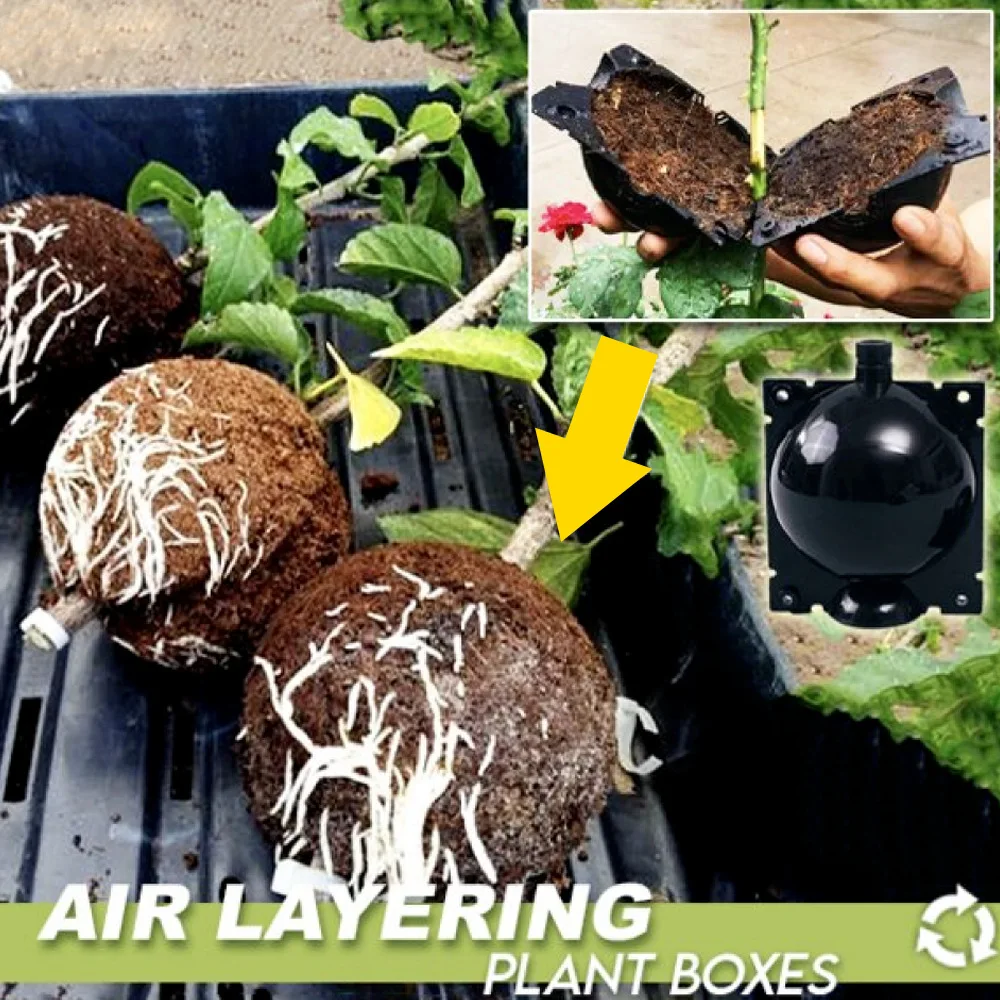Reusable Plant Rooting Equipment Kit High new 2025 Pressure Breeding Ball Box S Breeding Equipment