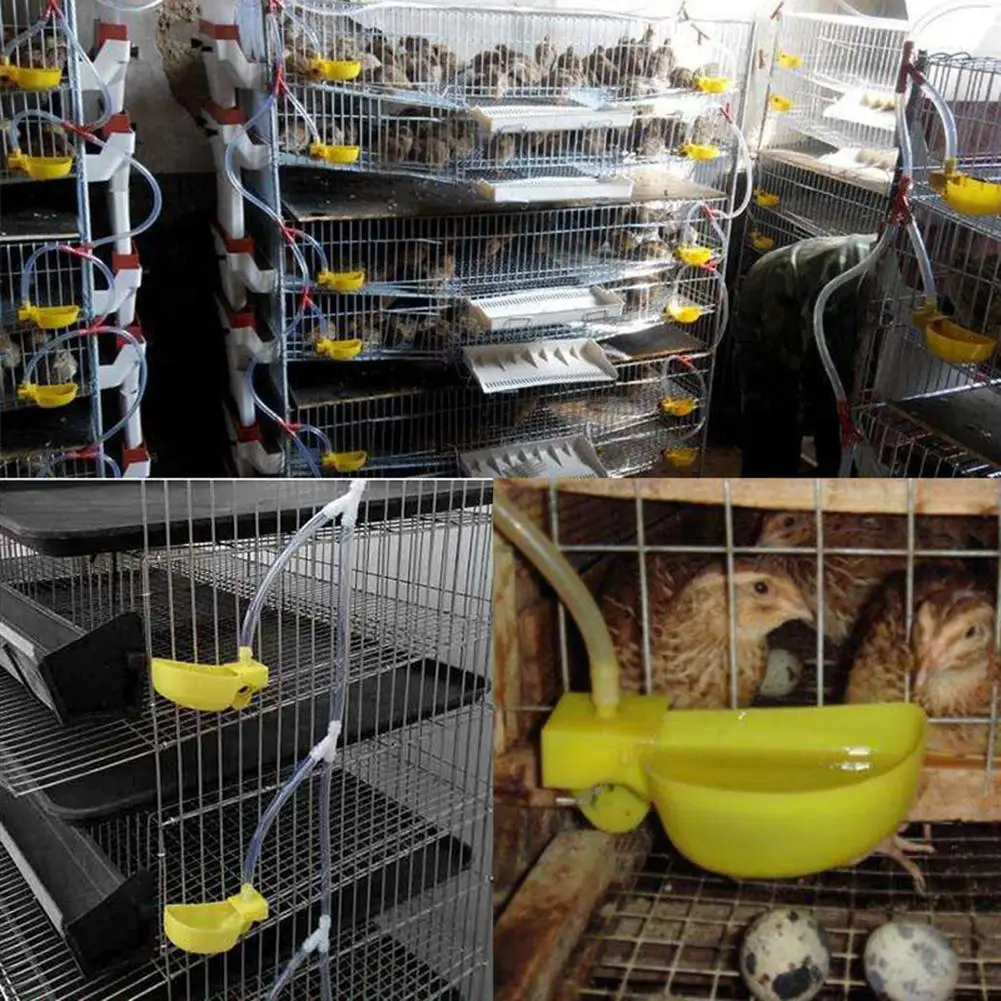 Automatic Birds Quail Drinking Bowl Convenient Pigeons new 2025 Chickens Feeding Cup Practical Drinker Quail Codorniz Cage Accessories
