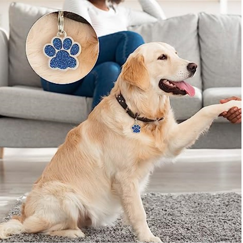 Personalized Dog Cat CustomTags Engraved Puppy Pet ID Name Collar Tag Stainless Steel Paw Glitter Pendant Pets Dogs Accessories