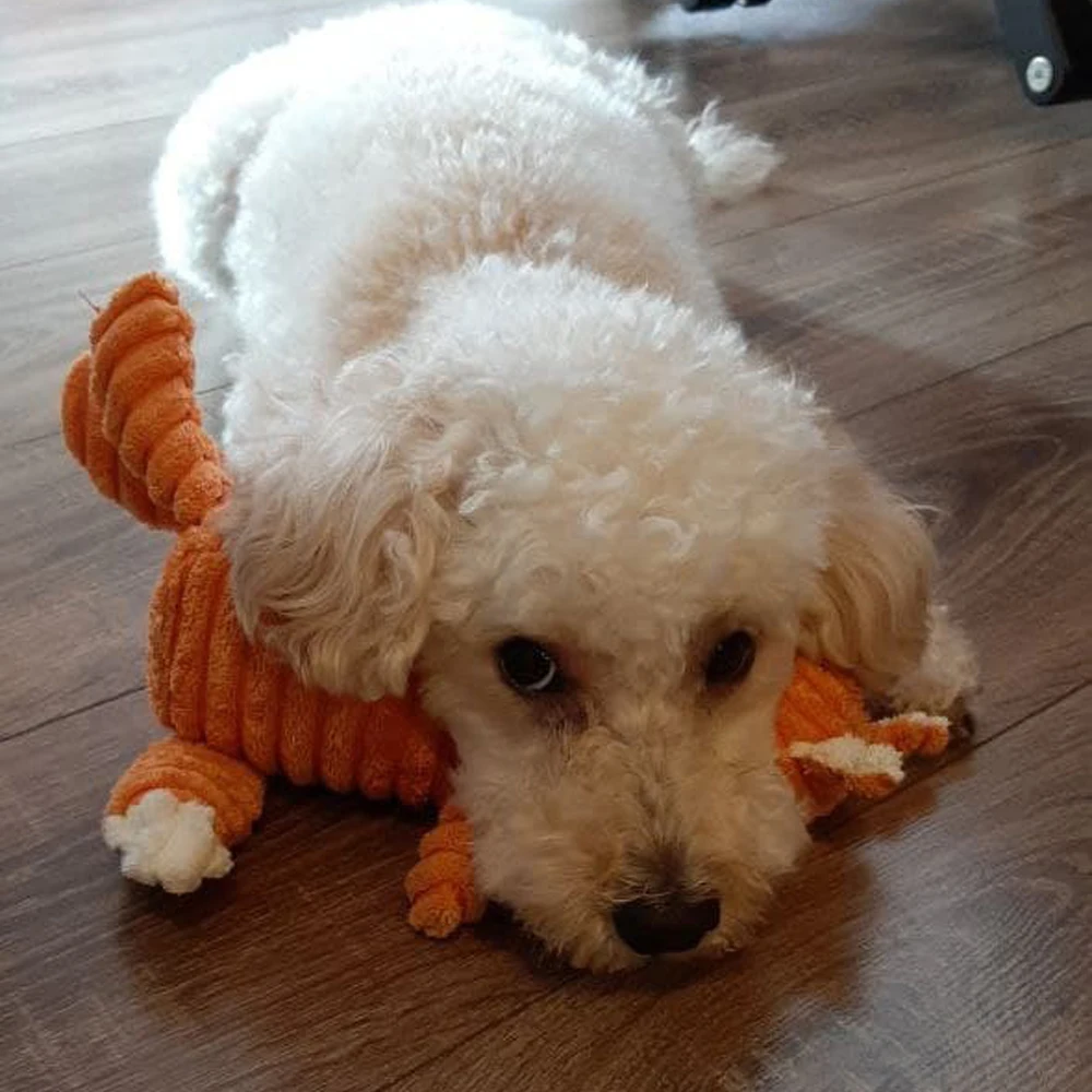 Pet Toys Dogs Law Fighting Molar Toy Cat 2025 Vent new Training Corduroy Monkey Pet Dog Vocal Toys Plush Toy