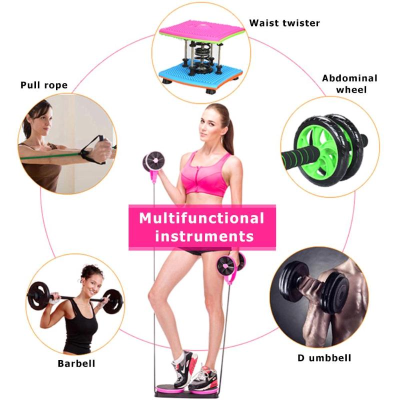 hot sale Indoor Multifunctional Abdominal Muscle Trainer Twist Waist Arm Power Gym Equipment Portable Home Gym Exercise Abs Wheel Roller