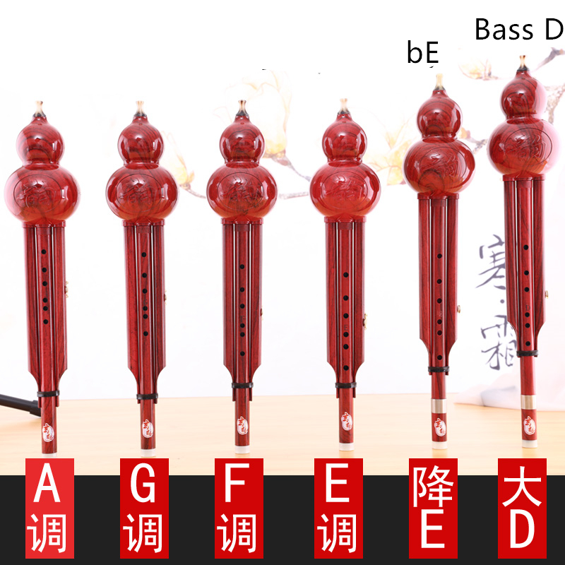 Handmand Resin Hulusi Flute Improved Bass D AGF E Tone Hulusi Two-tone Folk Chinese Musical Instrument Professional Flauta