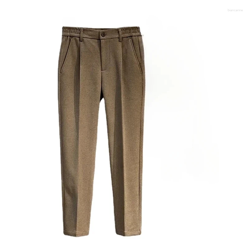 Men's Pants 2024 Autumn Winter Business Casual Suit Classic Korean Style Stretch Straight Trousers Gray Brown Male