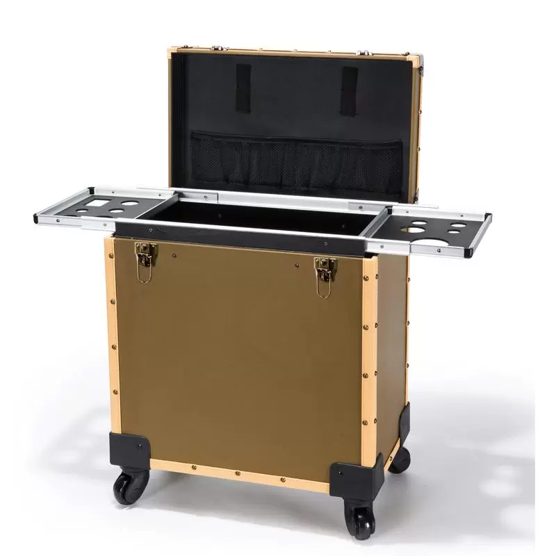 toolsbox Suitcases Multi-function Trolley Cosmetic Case Large Rolling Luggage Stylist Special Personality Suitcase Password Lock Box