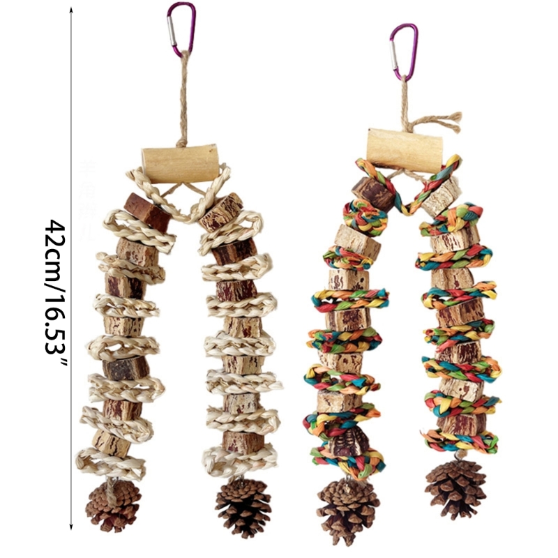 Birds' Entertainment Station: Specially Crafted Chunky Pine Cones for Beak Play